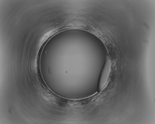 X0000112890340200909041706
