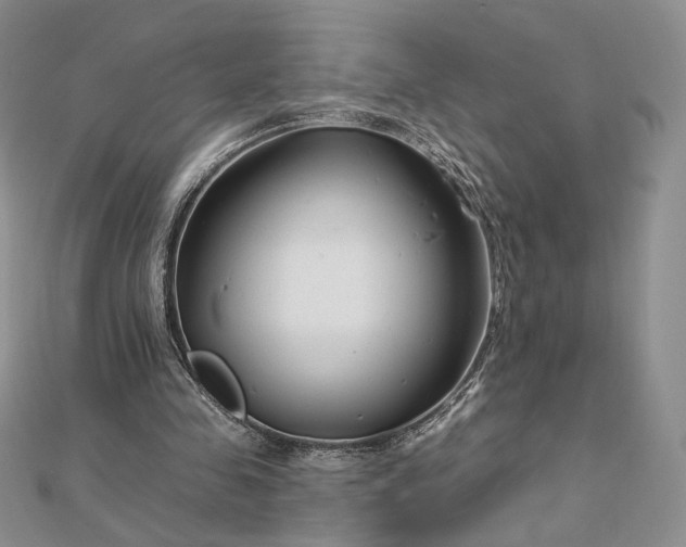 X0000112890341200909041706