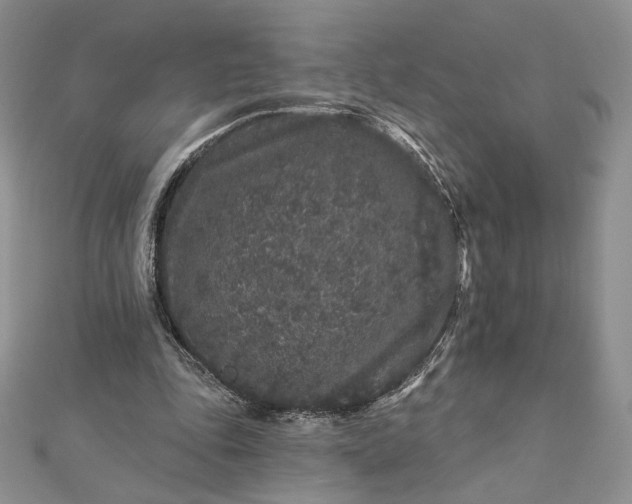 X0000112890343200909041706