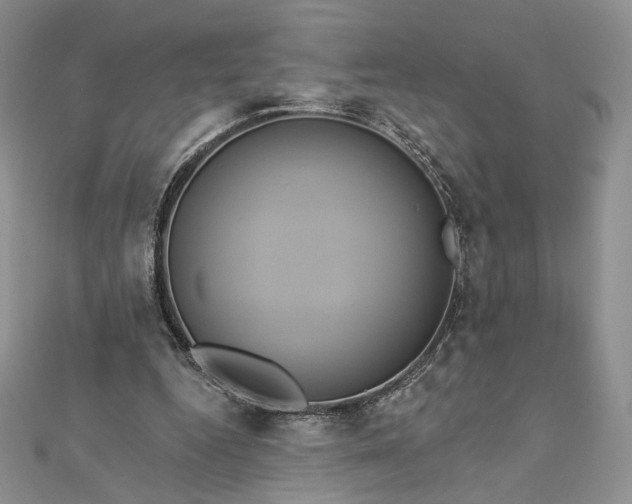 X0000112890344200909041706