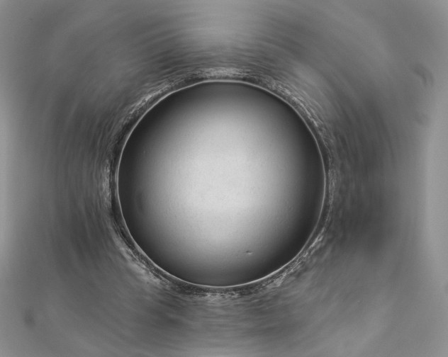 X0000112890345200909041706