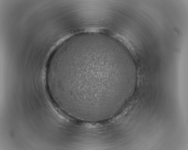 X0000112890346200909041706