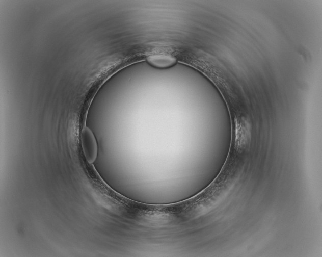 X0000112890348200909041706