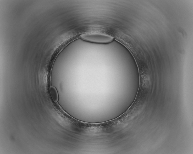 X0000112890350200909041706