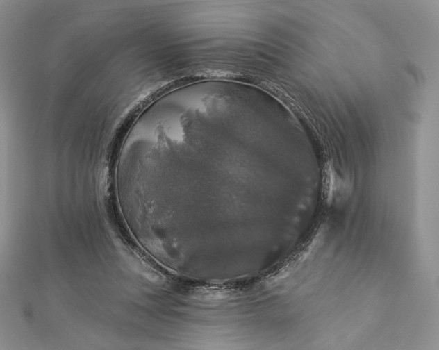 X0000112890351200909041706