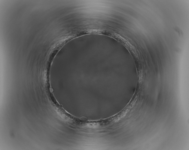 X0000112890353200909041706