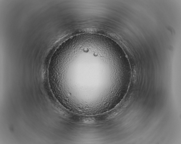 X0000112890355200909041706
