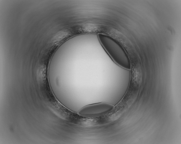 X0000112890356200909041706