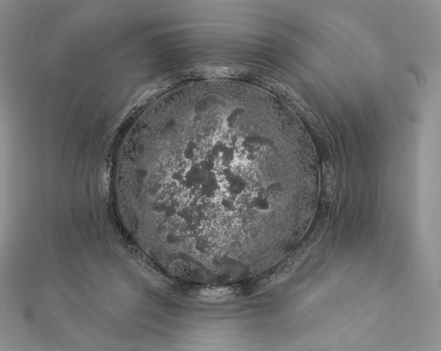 X0000112890357200909041706
