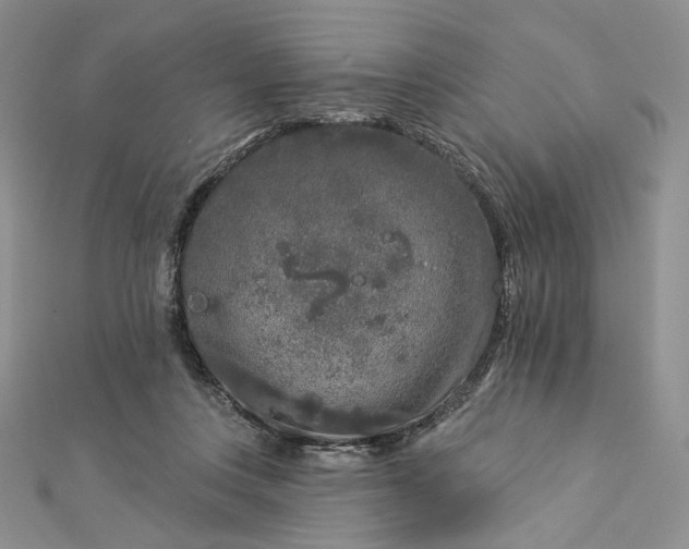 X0000112890359200909041706