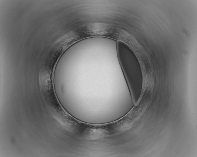 X0000112890360200909041706
