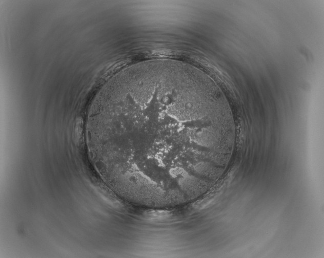 X0000112890361200909041706