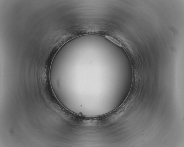 X0000112890362200909041706