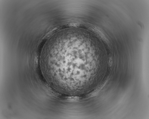 X0000112890363200909041706