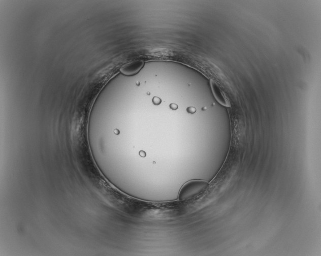 X0000112890364200909041706