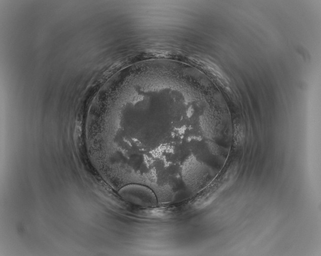 X0000112890365200909041706