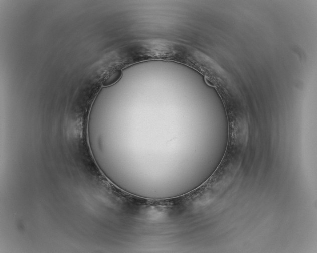 X0000112890368200909041707