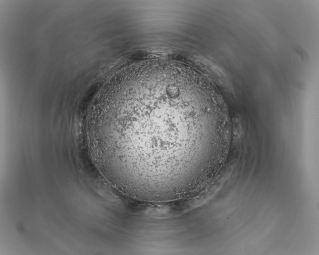 X0000112890369200909041707
