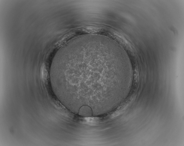 X0000112890371200909041707