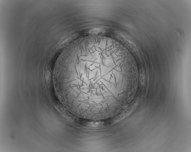 X0000112890375200909041707