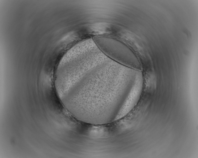 X0000112890376200909041707