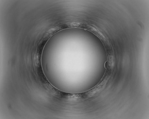 X0000112890378200909041707