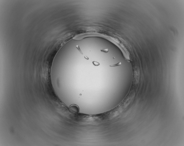 X0000112890379200909041707