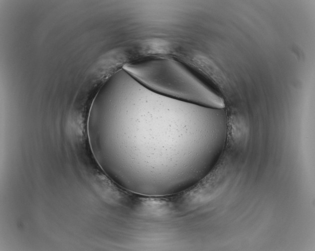 X0000112890380200909041707
