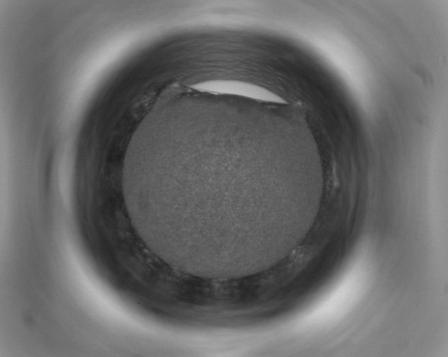 X0000112890383200909041707