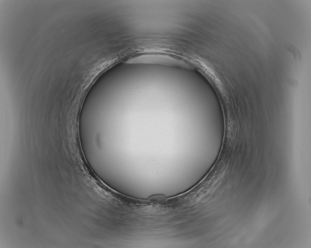 X0000112890385200909041706