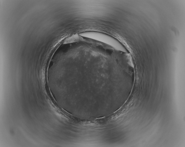 X0000112890386200909041706