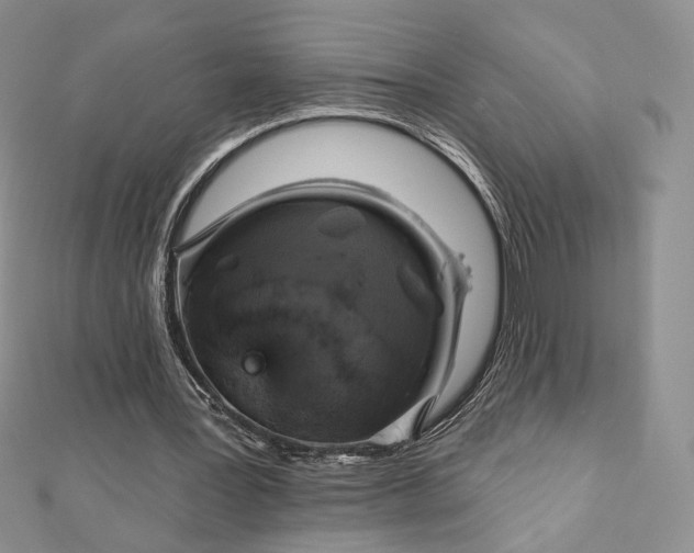 X0000112890387200909041706