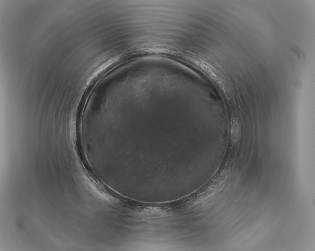 X0000112890390200909041706