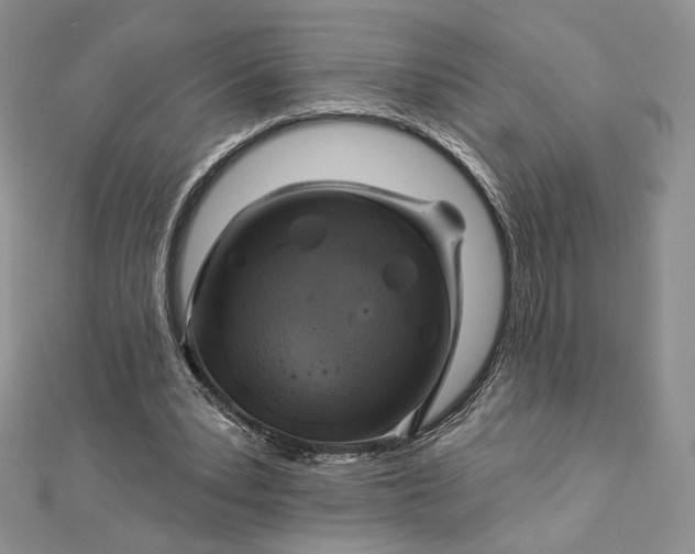 X0000112890391200909041706