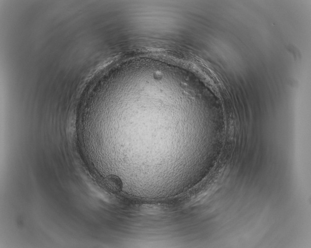 X0000112890394200909041706