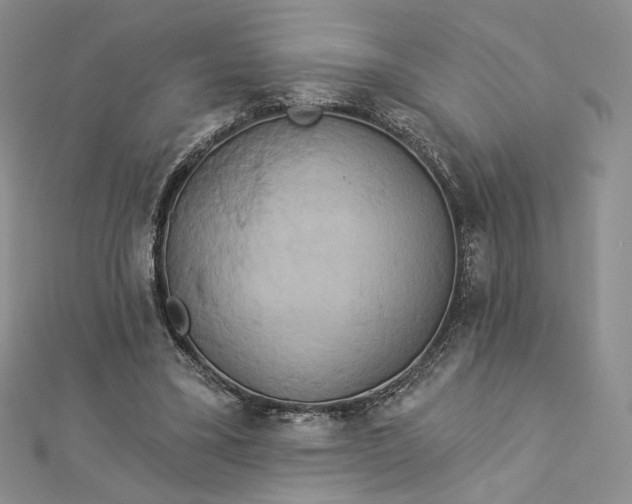 X0000112890395200909041706