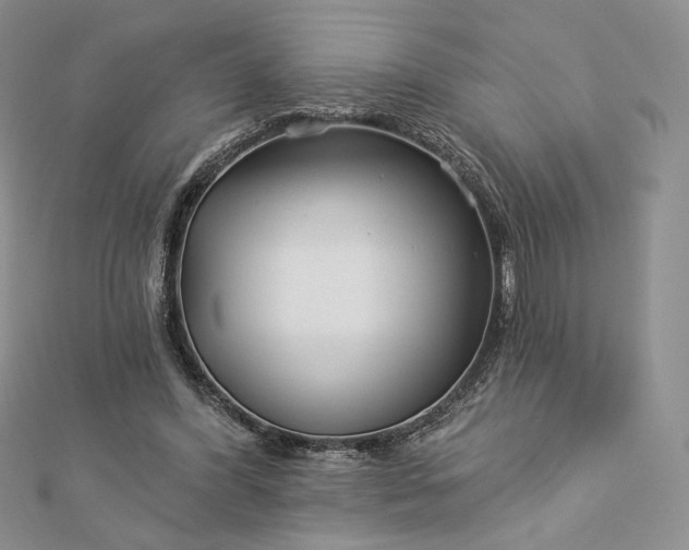 X0000112890396200909041706