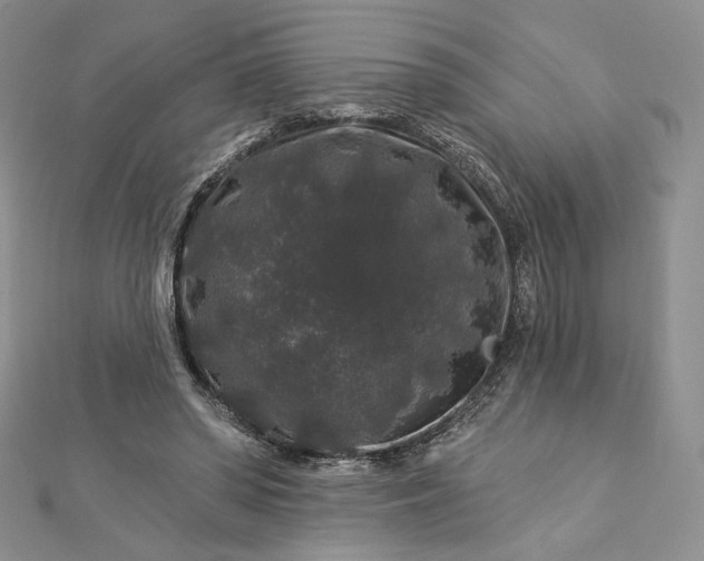 X0000112890398200909041706