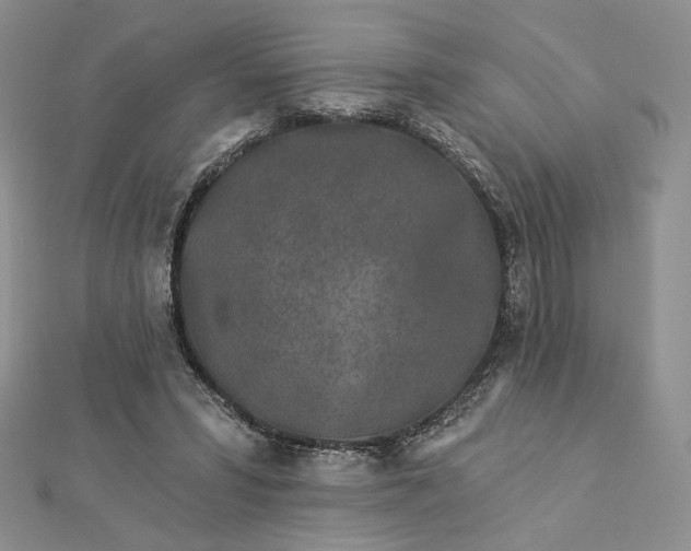 X0000112890399200909041706