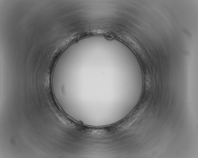 X0000112890401200909041706