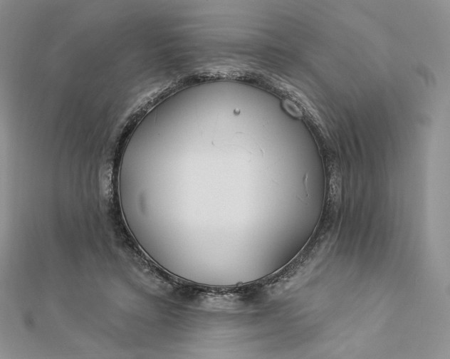 X0000112890403200909041706