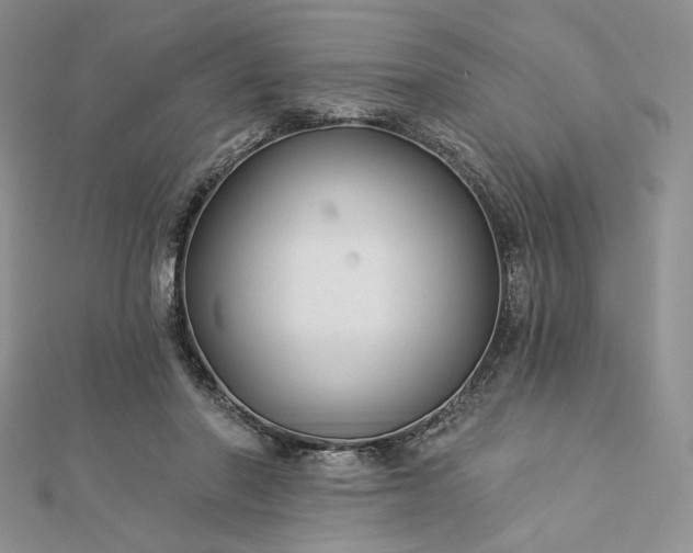 X0000112890406200909041706