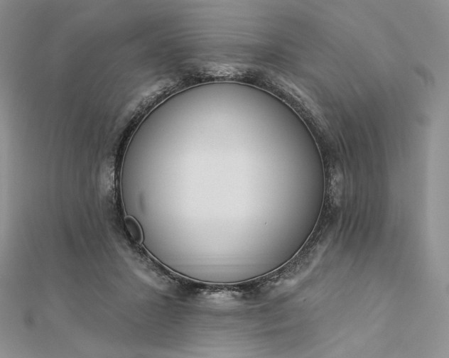 X0000112890407200909041706
