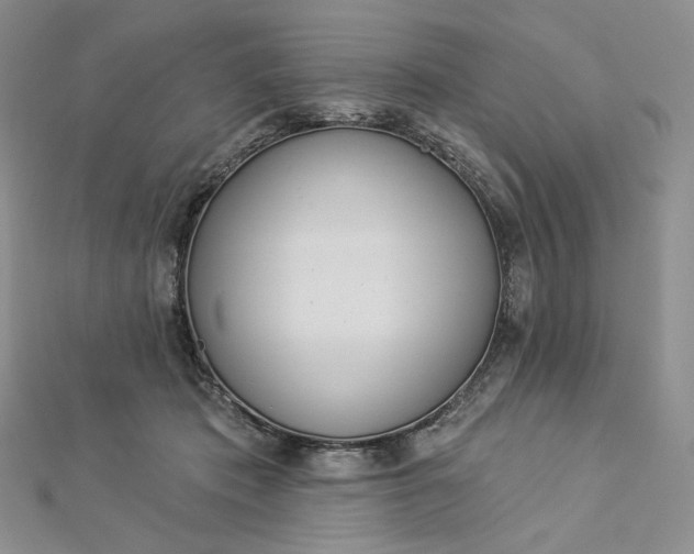 X0000112890413200909041706