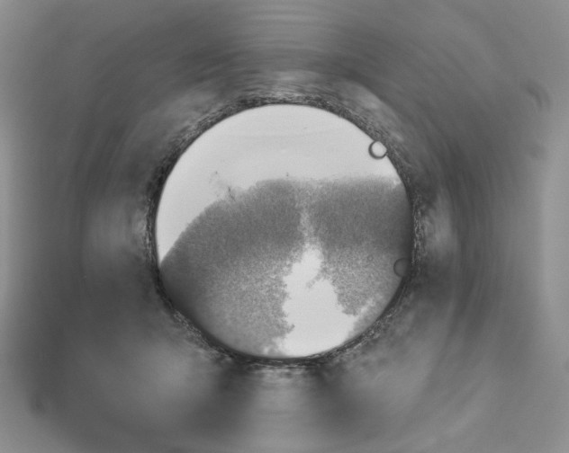 X0000112890415200909041705