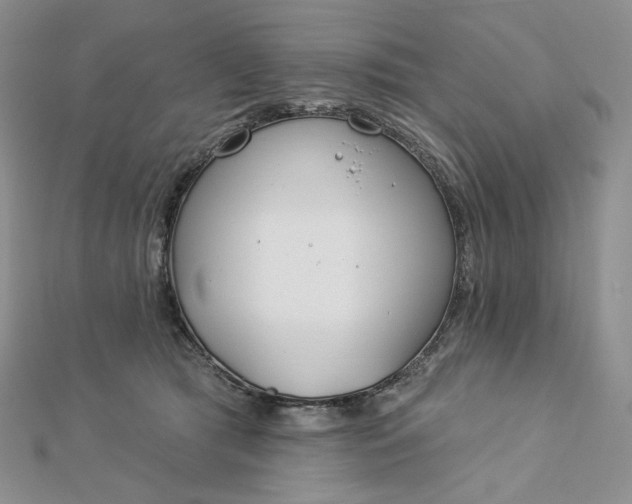 X0000112890417200909041705