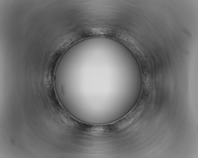 X0000112890418200909041705