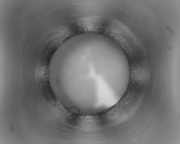 X0000112890419200909041705