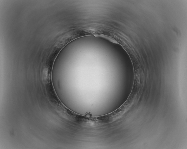 X0000112890420200909041705