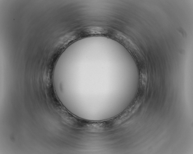 X0000112890422200909041705